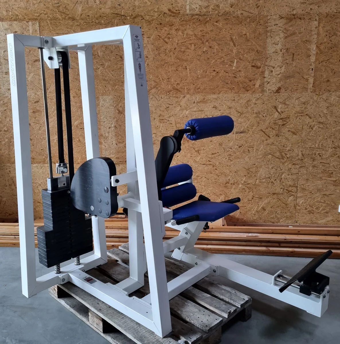 Gym80 Rückenstreckermaschine, Hyperextension, verstellbar, Rahmenfarbe Weiß, Polsterfarbe Blau, gebraucht - überholter Zustand - Image 2