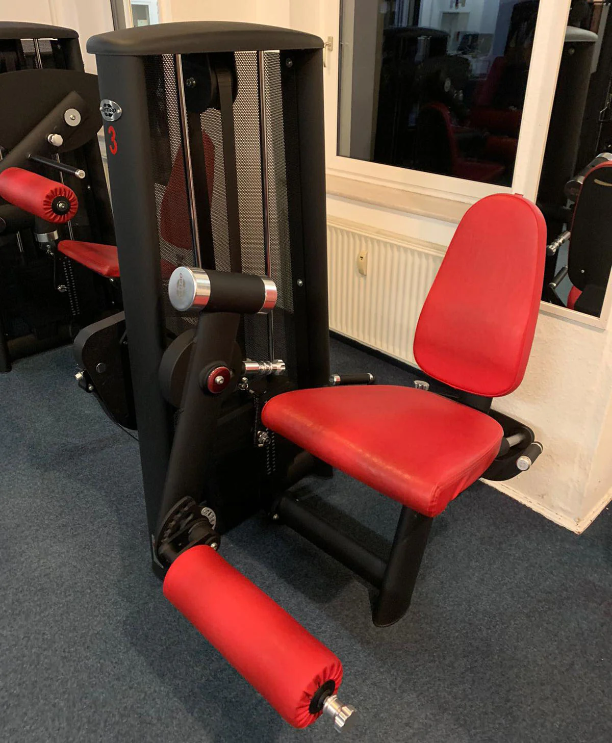 Gym80 Sygnum - 20 Kraftgeräte, 17 Bänke, Ständer, Ablagen etc - Gerätepark, Matt-Schwarz Sonderfarbe, gebraucht - Neuwertig - Image 13
