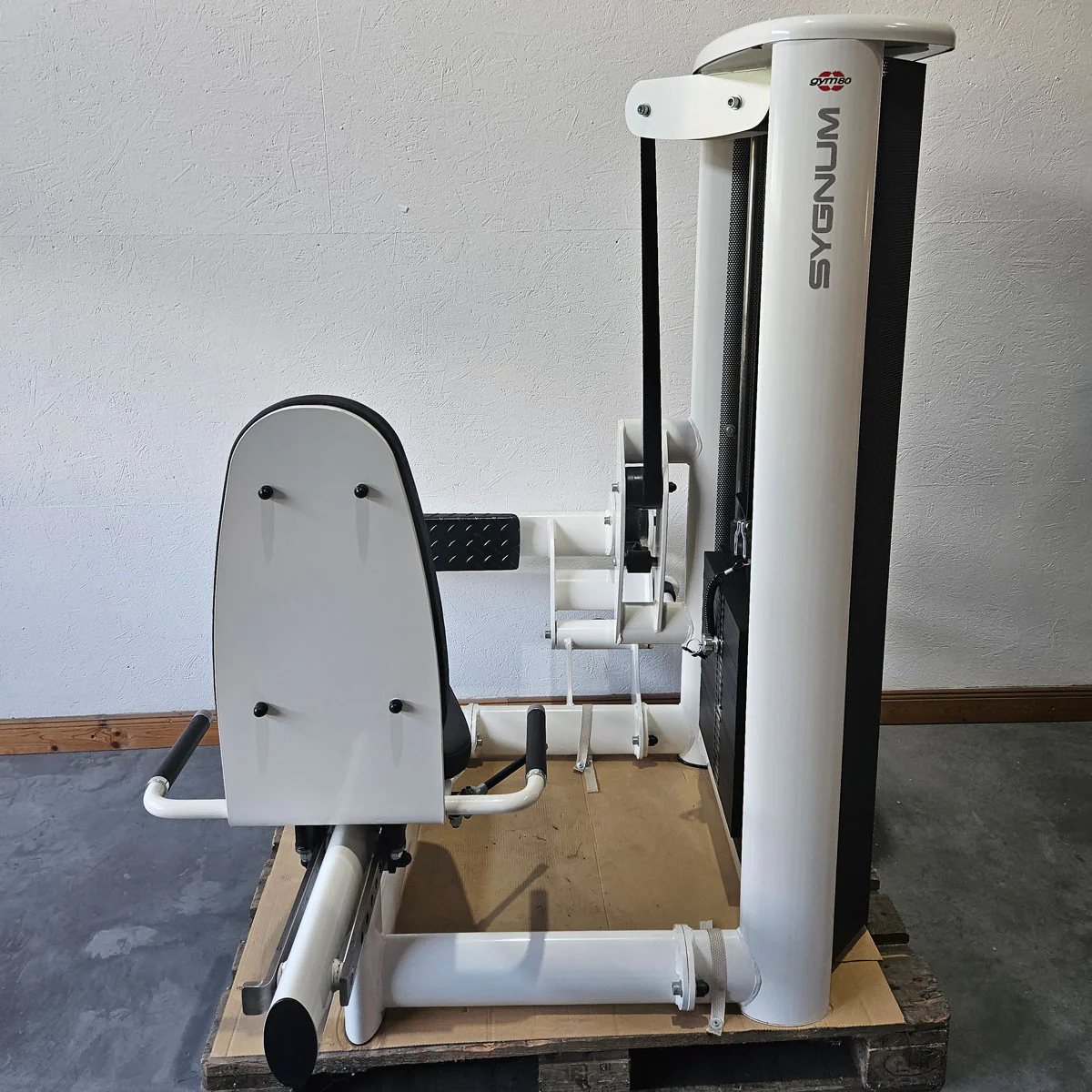 Gym80 Wadenpresse sitzend Sygnum 3027, Wadenmaschine, Calf Press, Rahmenfarbe Weiß, gebraucht - überholter Zustand - Image 4