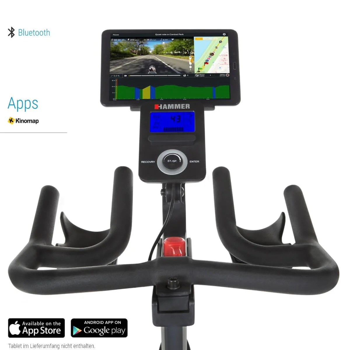Hammer Racer S - Indoor Cycle / Speedbike - Image 3