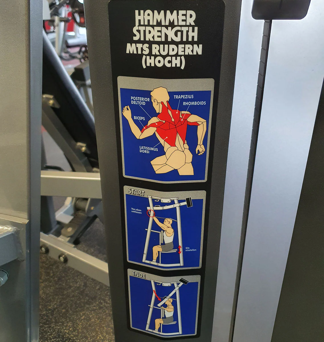 Hammer Strength MTS Rudern ( Hoch ) Maschine - Rahmenfarbe Silber, Polsterfarbe Schwarz, gebraucht - überholter Zustand - Image 3