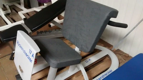 Kaphingst Hyperextension / Rückenstrecker, Knielage, verstellbar, gebraucht - Image 2
