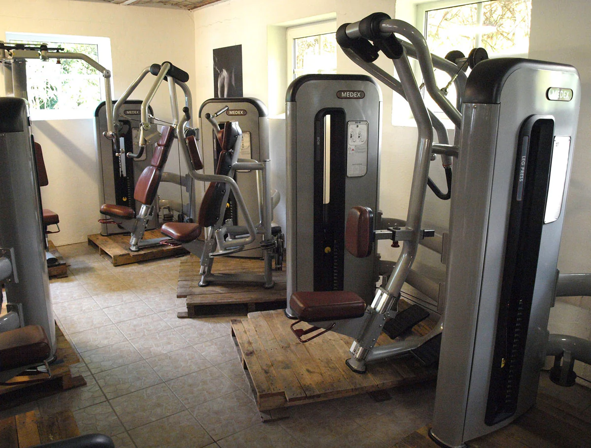 Komplette Fitnessstudio Einrichtung - Gerätepark mit über 45 Kraftgeräten - Danksport S-Line Set mit 45 Fitnessgeräten & Zubehör, Ausstellungsgeräte vergleichbar mit Gym80, Nautilus, Star Trac oder TechnoGym - Image 8