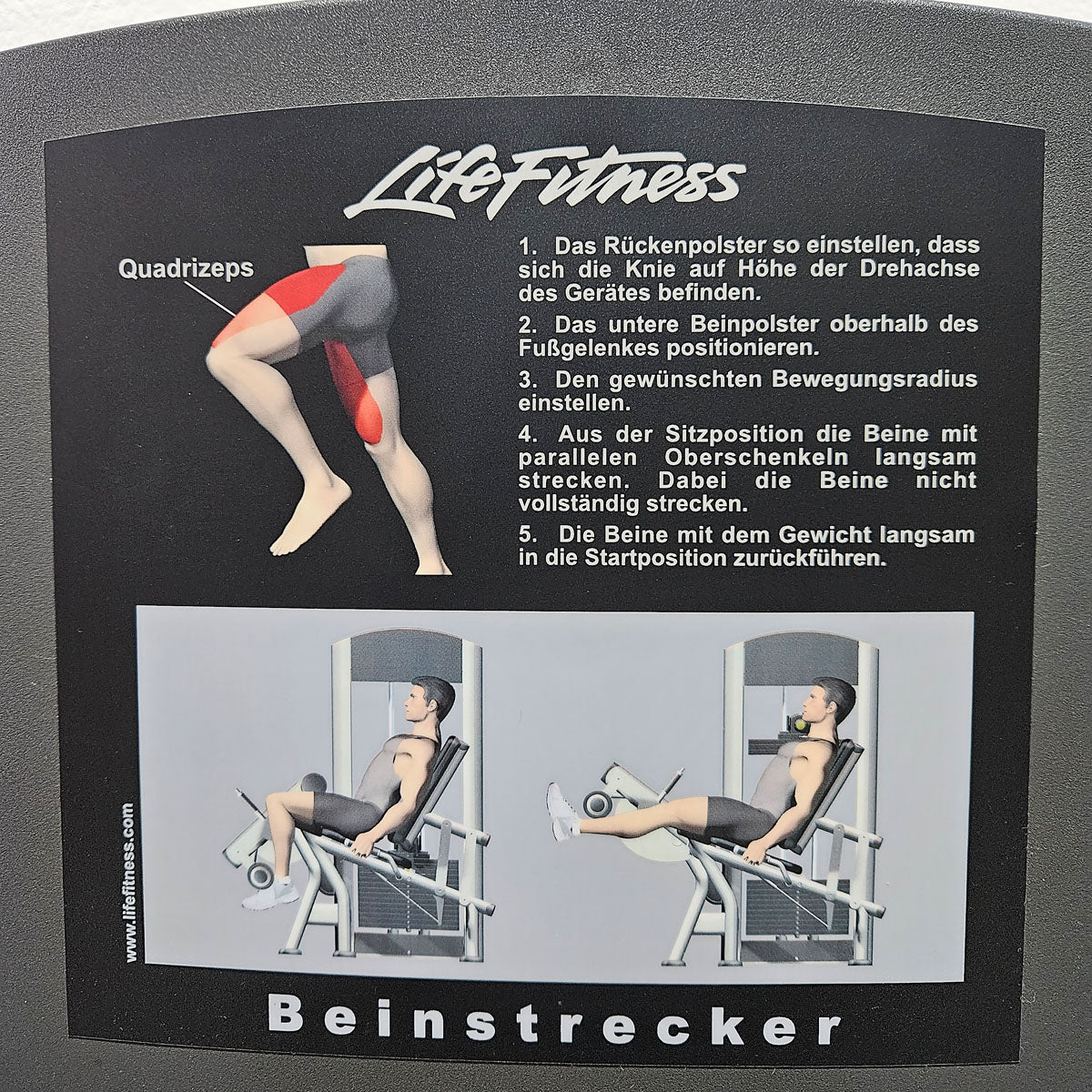 Life Fitness 2er Set = Beinstrecker und Beinbeuger, Leg Extension and Leg Curl Set, Signature Serie, Rahmenfarbe Silber, gebraucht - überholter Zustand - Image 2