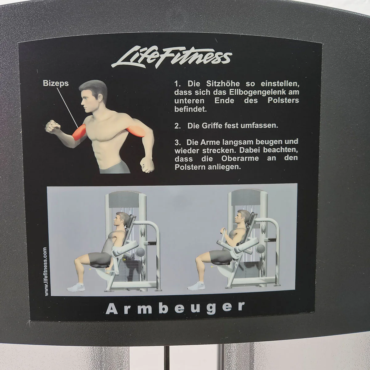 Life Fitness Armbeuger, Bizepsmaschine, Biceps Curl Machine, Bilateral, drehbare Griffe, Signature Series, Rahmenfarbe Silber, gebraucht - überholter Zustand - Image 7
