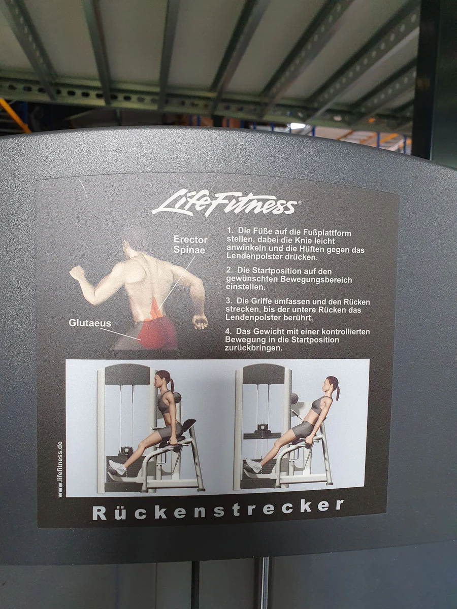 Life Fitness Back Extension, Rückenstreckermaschine, Hyperextension, Signature Series, Rahmenfarbe Silber, Polsterfarbe Schwarz, gebraucht - überholter Zustand - Image 9