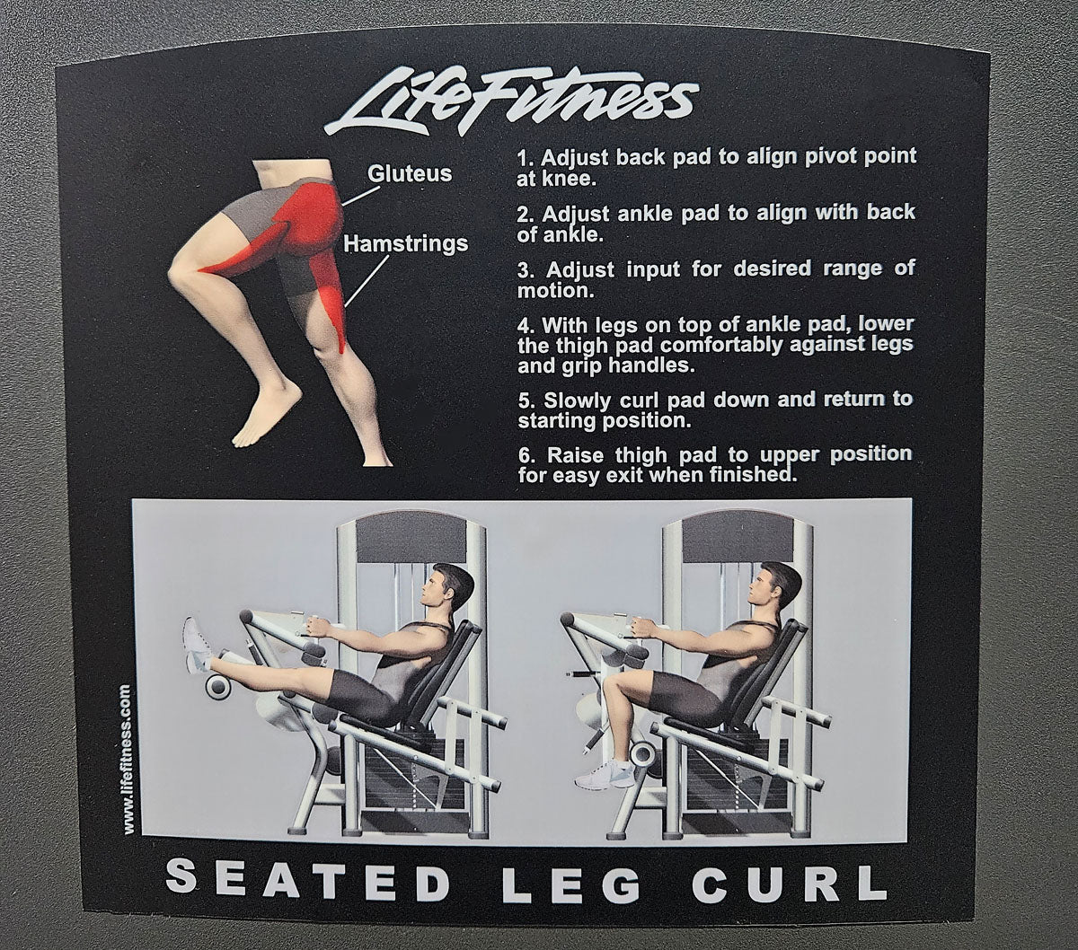 Life Fitness Beinbeuger sitzend, Leg Curl, Signature Serie, 135kg Gewichtsblock, Rahmenfarbe Silber, gebraucht - überholter Zustand - Image 15