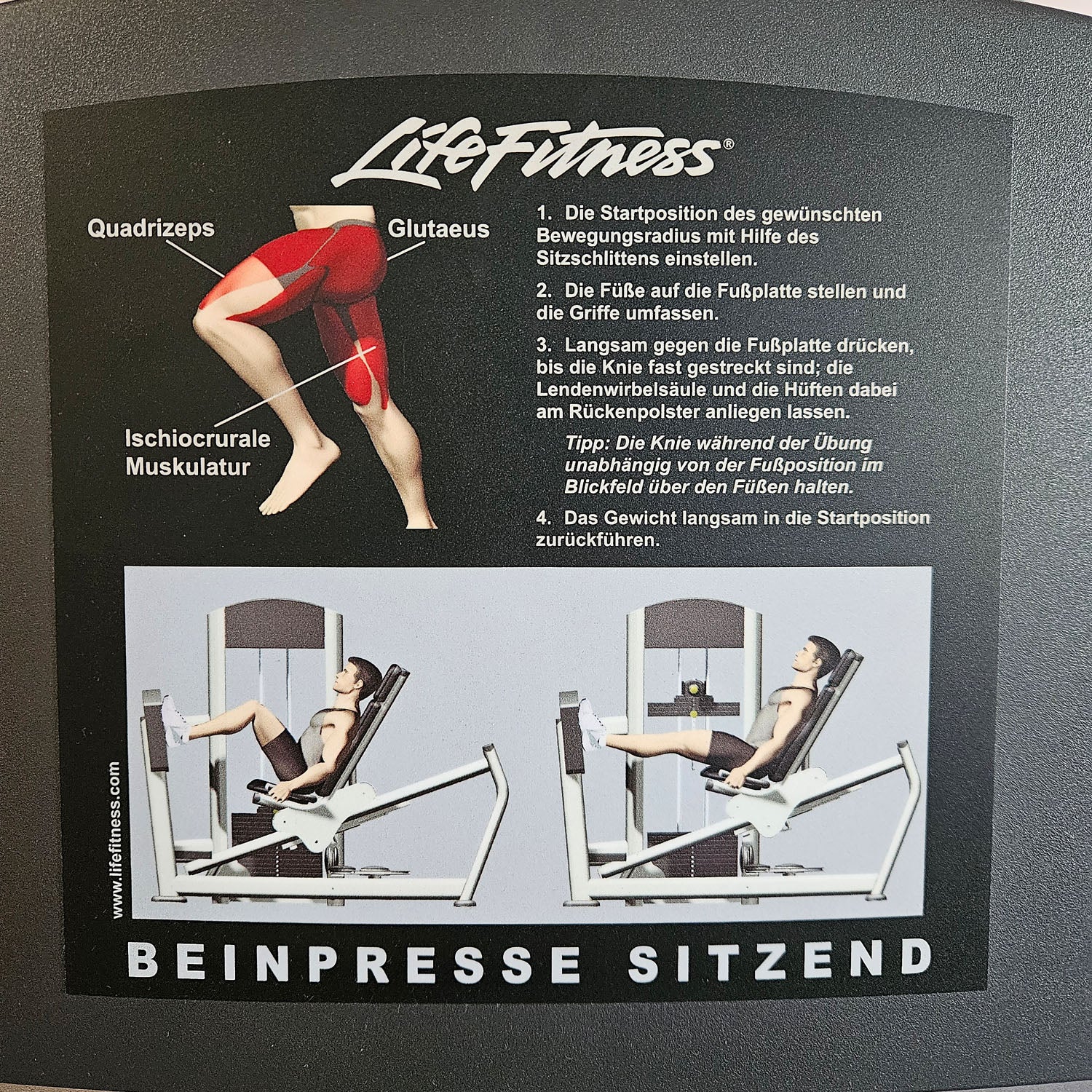 Life Fitness Beinpresse sitzend, Leg Press, Signature Serie, 195kg Gewichtsblock, Rahmenfarbe Silber, gebraucht - überholter Zustand - Image 7