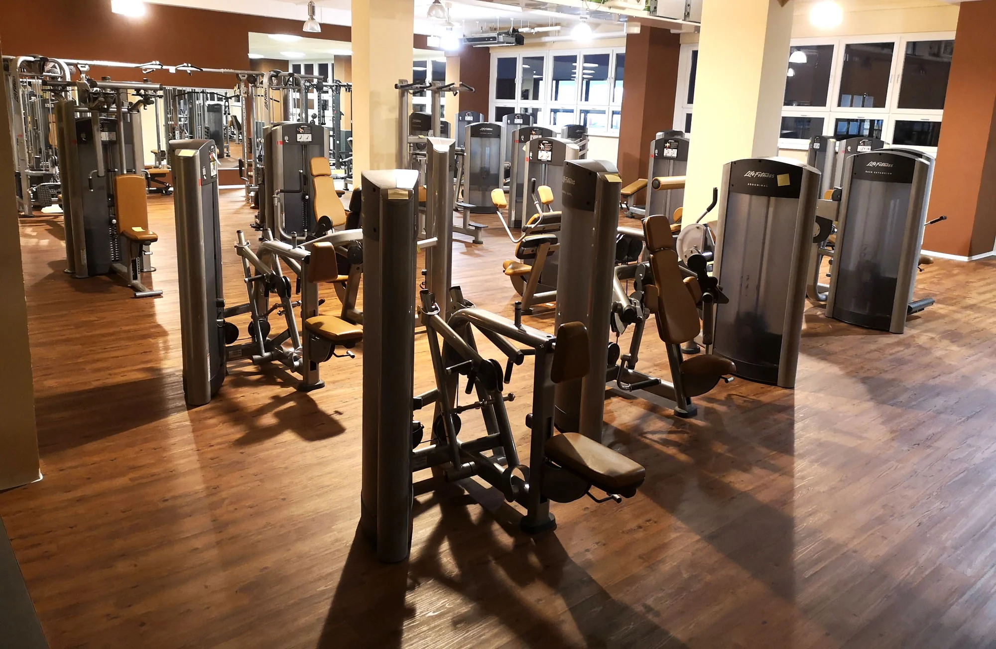 Life Fitness & Hammer Strength - 93 Fitnessgeräte - Kraftgeräte, Cardiogeräte, Plate loaded Geräte, Bänke etc - komplettes Fitnessstudio - gebraucht - TOP Zustand - Image 10