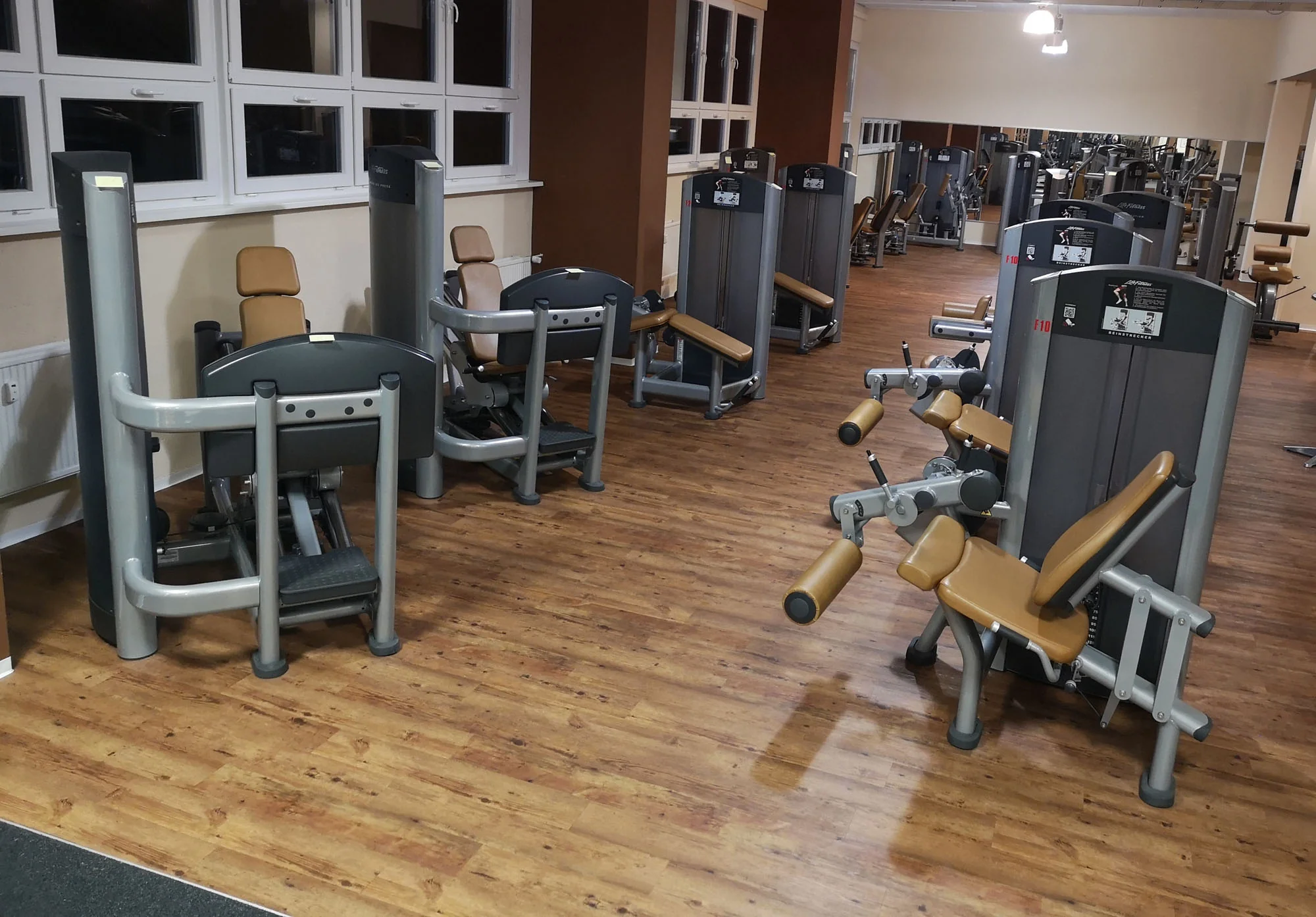 Life Fitness & Hammer Strength - 93 Fitnessgeräte - Kraftgeräte, Cardiogeräte, Plate loaded Geräte, Bänke etc - komplettes Fitnessstudio - gebraucht - TOP Zustand - Image 11