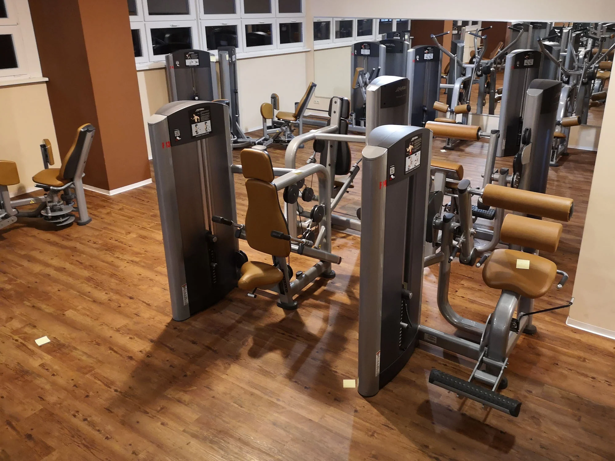 Life Fitness & Hammer Strength - 93 Fitnessgeräte - Kraftgeräte, Cardiogeräte, Plate loaded Geräte, Bänke etc - komplettes Fitnessstudio - gebraucht - TOP Zustand - Image 12