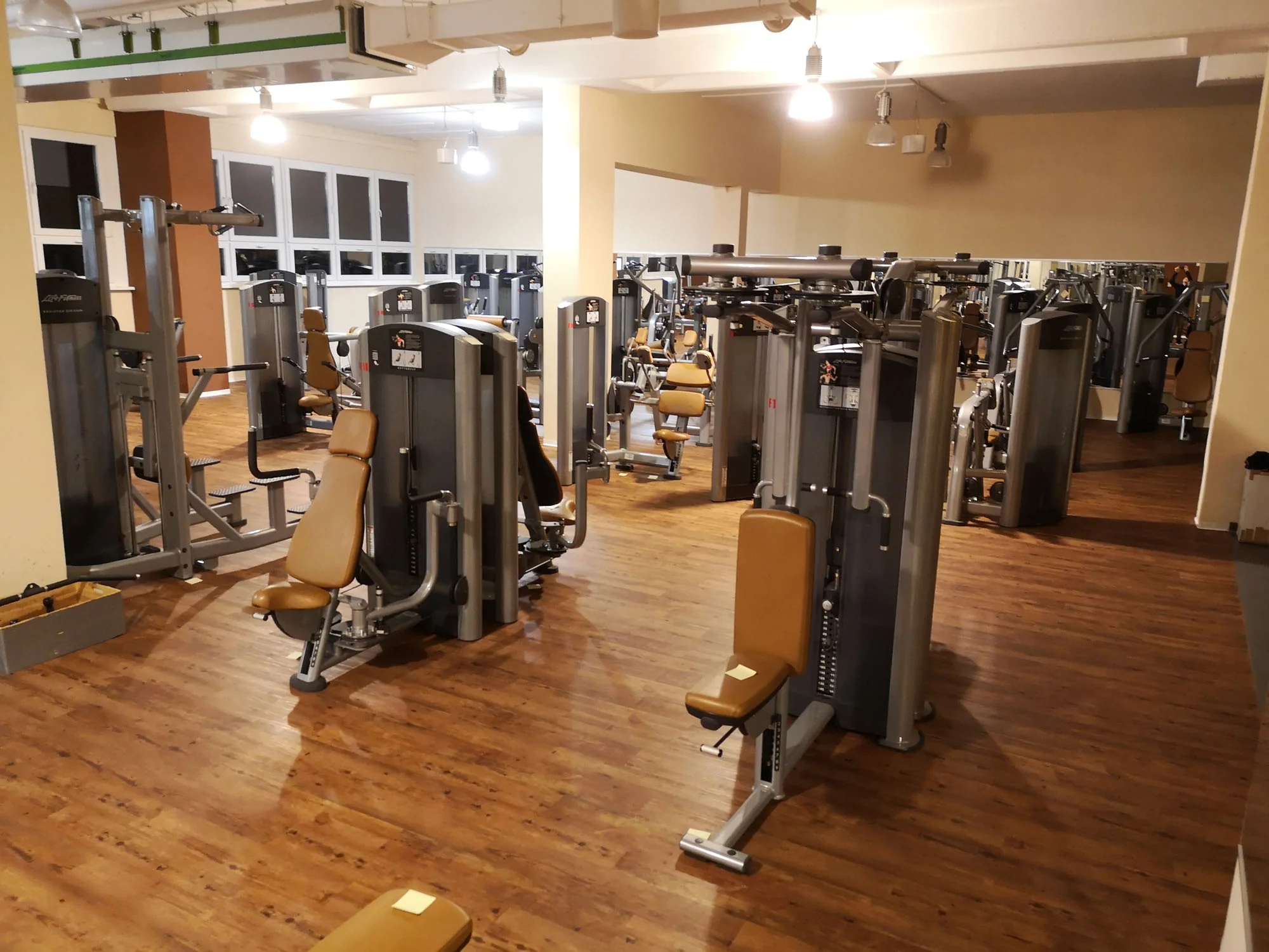 Life Fitness & Hammer Strength - 93 Fitnessgeräte - Kraftgeräte, Cardiogeräte, Plate loaded Geräte, Bänke etc - komplettes Fitnessstudio - gebraucht - TOP Zustand - Image 15