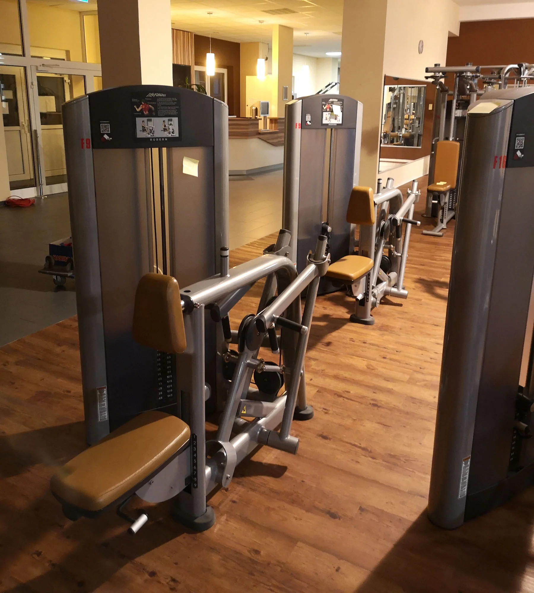 Life Fitness & Hammer Strength - 93 Fitnessgeräte - Kraftgeräte, Cardiogeräte, Plate loaded Geräte, Bänke etc - komplettes Fitnessstudio - gebraucht - TOP Zustand - Image 54