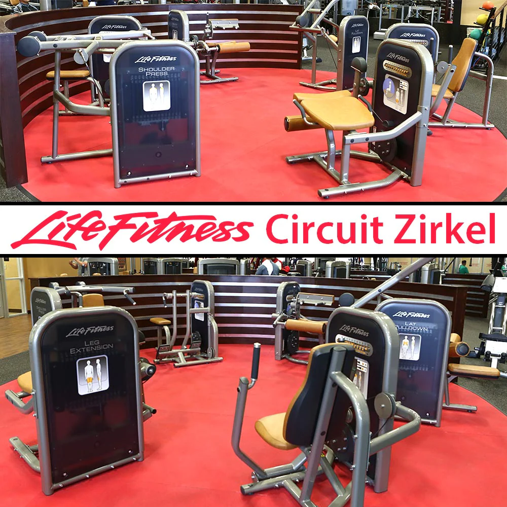 Life Fitness & Hammer Strength - 93 Fitnessgeräte - Kraftgeräte, Cardiogeräte, Plate loaded Geräte, Bänke etc - komplettes Fitnessstudio - gebraucht - TOP Zustand - Image 58