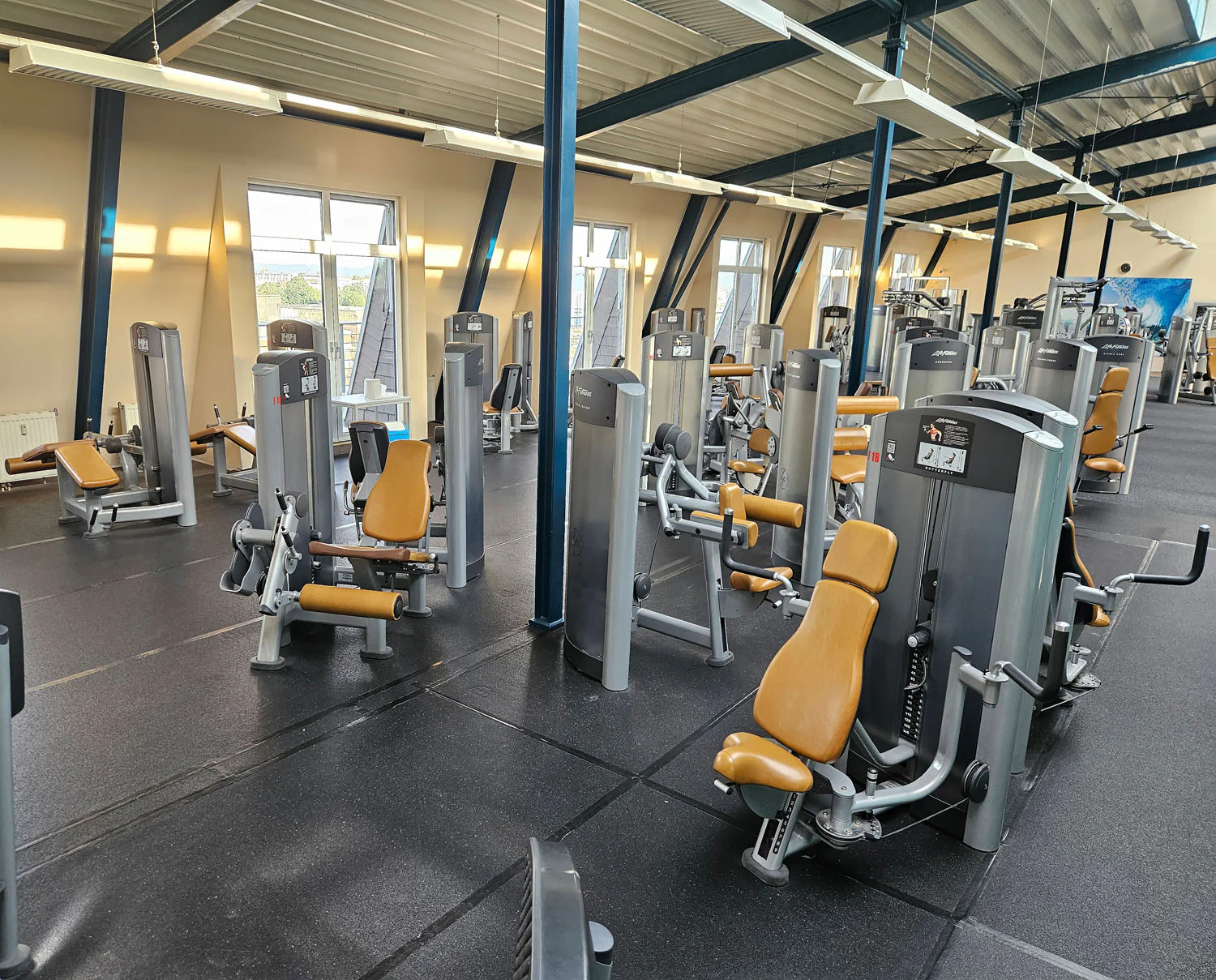 Life Fitness & Hammer Strength - 95 Fitnessgeräte - 105 Stationen, Kraftgeräte, Cardiogeräte, Plate loaded Geräte, Bänke etc - komplettes Fitnessstudio - gebraucht, überholter TOP Zustand - Image 12