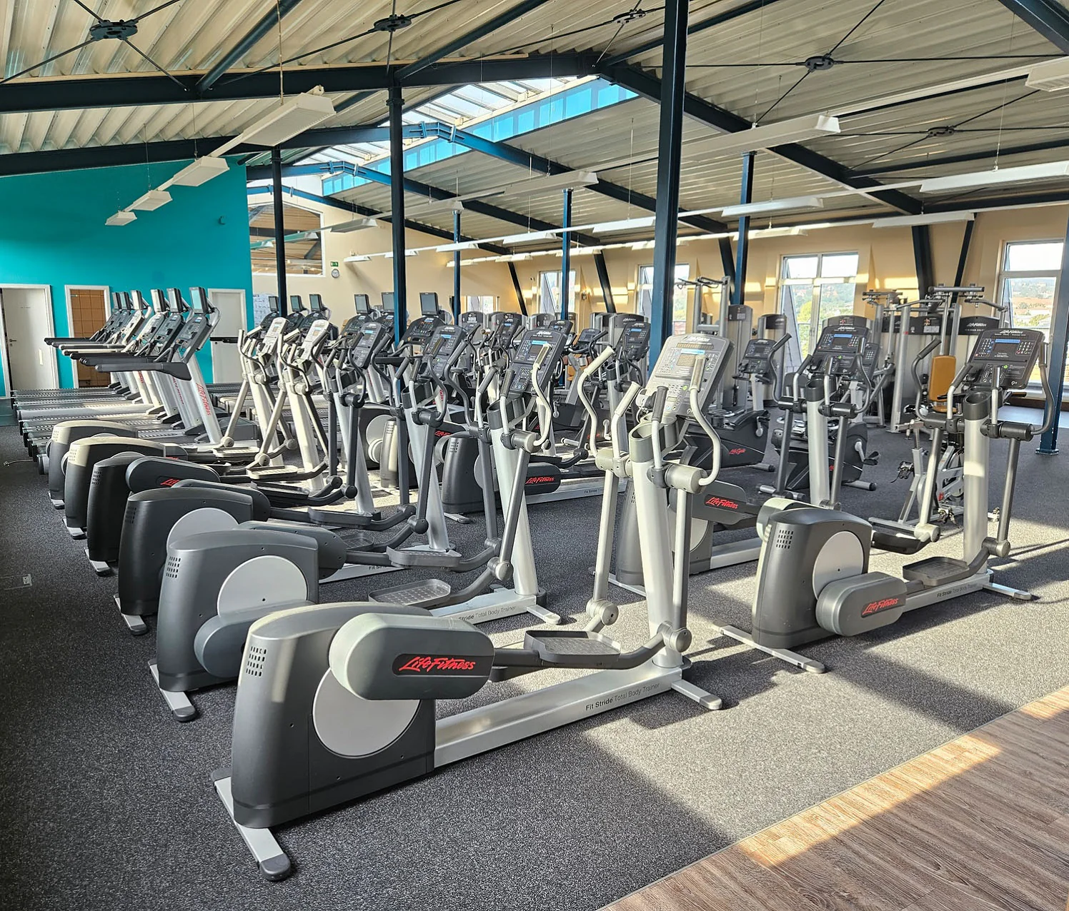 Life Fitness & Hammer Strength - 95 Fitnessgeräte - 105 Stationen, Kraftgeräte, Cardiogeräte, Plate loaded Geräte, Bänke etc - komplettes Fitnessstudio - gebraucht, überholter TOP Zustand - Image 60