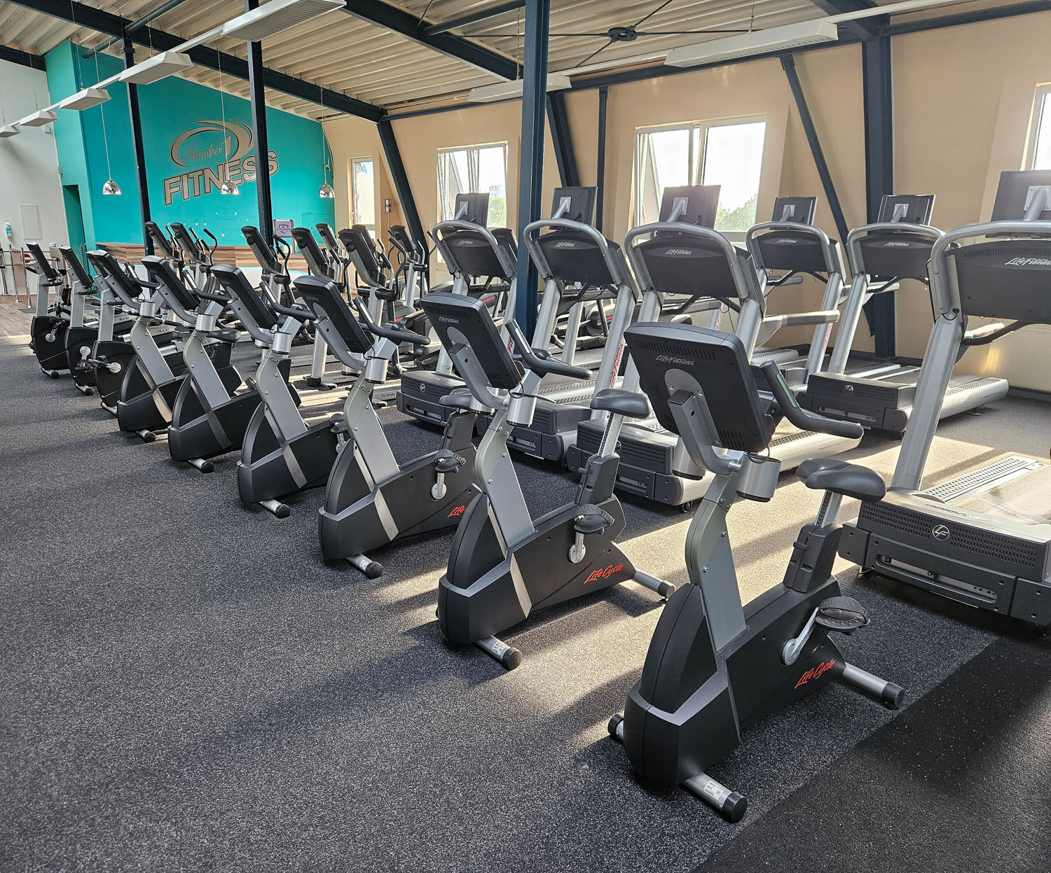 Life Fitness & Hammer Strength - 95 Fitnessgeräte - 105 Stationen, Kraftgeräte, Cardiogeräte, Plate loaded Geräte, Bänke etc - komplettes Fitnessstudio - gebraucht, überholter TOP Zustand - Image 65