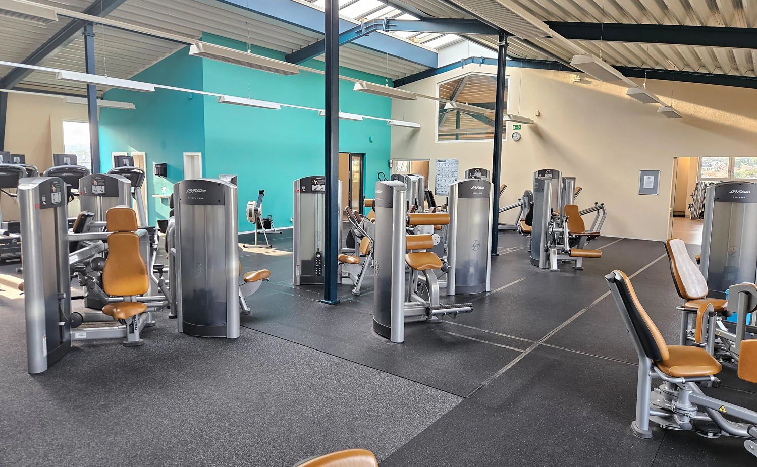 Life Fitness & Hammer Strength - 95 Fitnessgeräte - 105 Stationen, Kraftgeräte, Cardiogeräte, Plate loaded Geräte, Bänke etc - komplettes Fitnessstudio - gebraucht, überholter TOP Zustand - Image 8