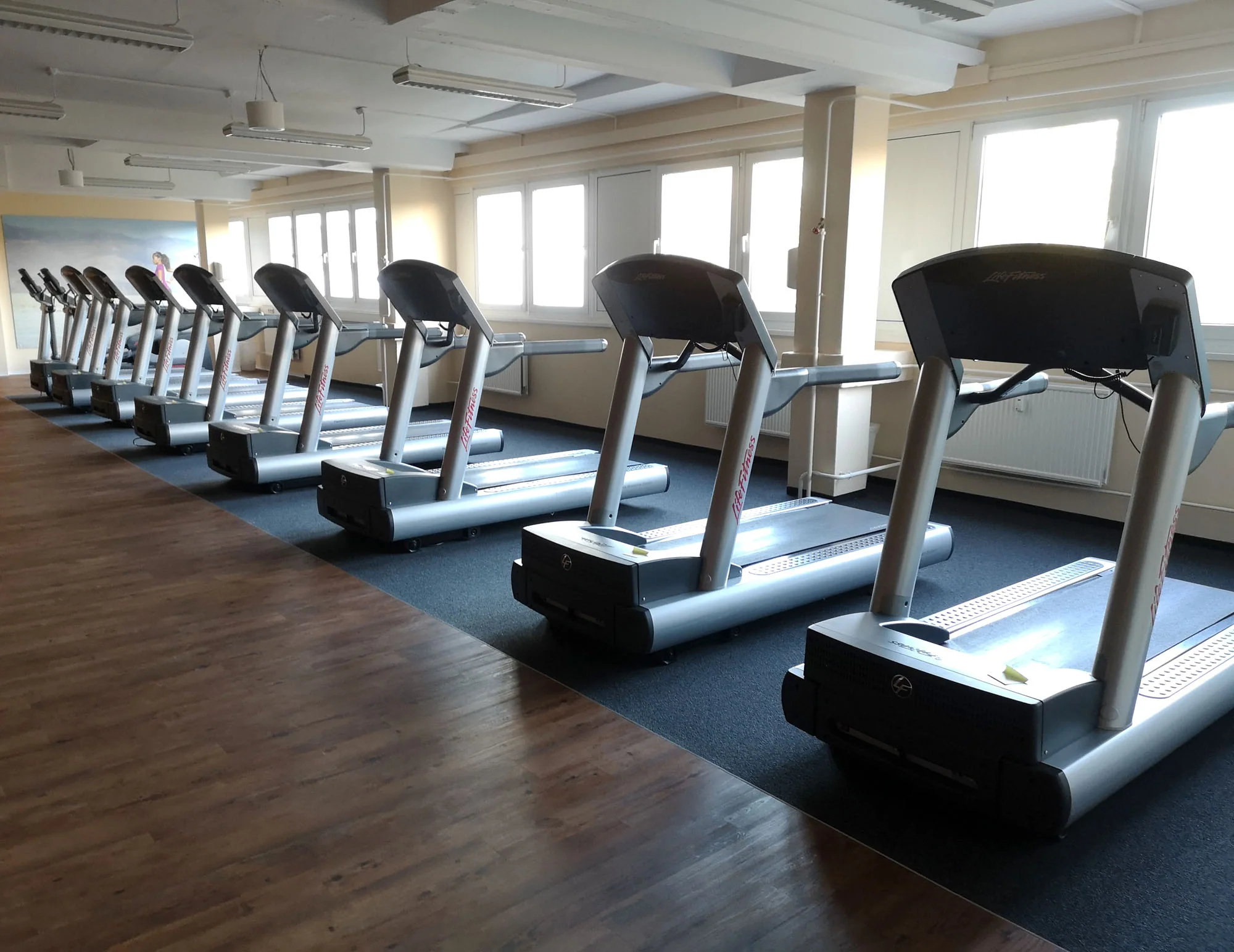 Life Fitness Laufband 95T - Integrity Serie 95t - LED Display Konsole, gebraucht - überholter Zustand - Image 5