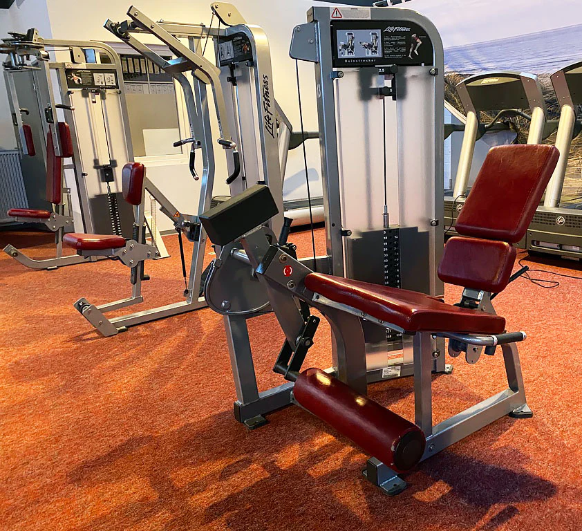 Life Fitness Pro2 und Hammer Strength - 15 Kraftgeräte im Set, Rahmen Silber, gebraucht - überholter Zustand - Image 24