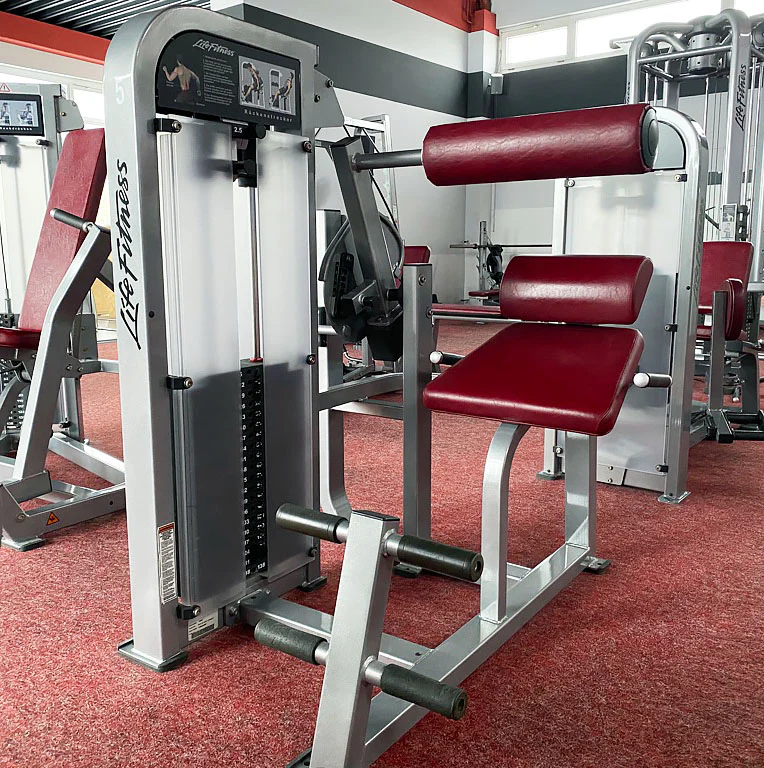 Life Fitness Pro2 und Hammer Strength - 15 Kraftgeräte im Set, Rahmen Silber, gebraucht - überholter Zustand - Image 25
