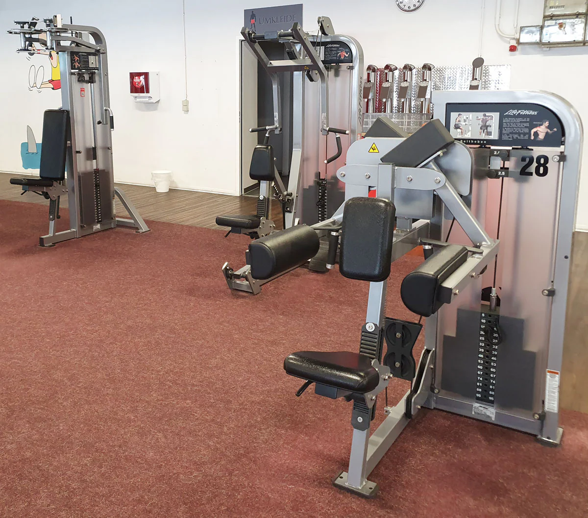 Life Fitness Pro2 und Hammer Strength - 15 Kraftgeräte im Set, Rahmen Silber, gebraucht - überholter Zustand - Image 28