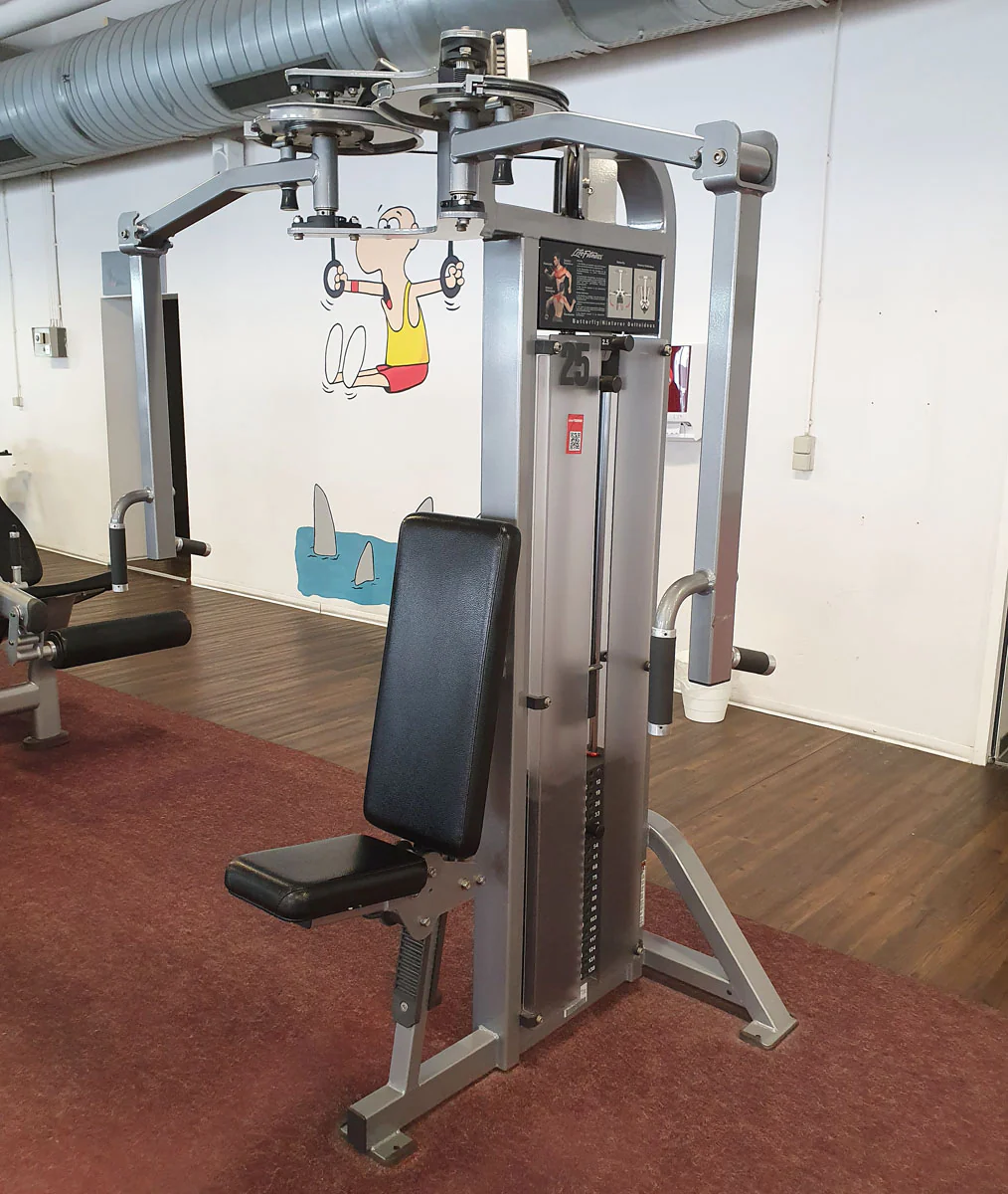 Life Fitness Pro2 und Hammer Strength - 15 Kraftgeräte im Set, Rahmen Silber, gebraucht - überholter Zustand - Image 6