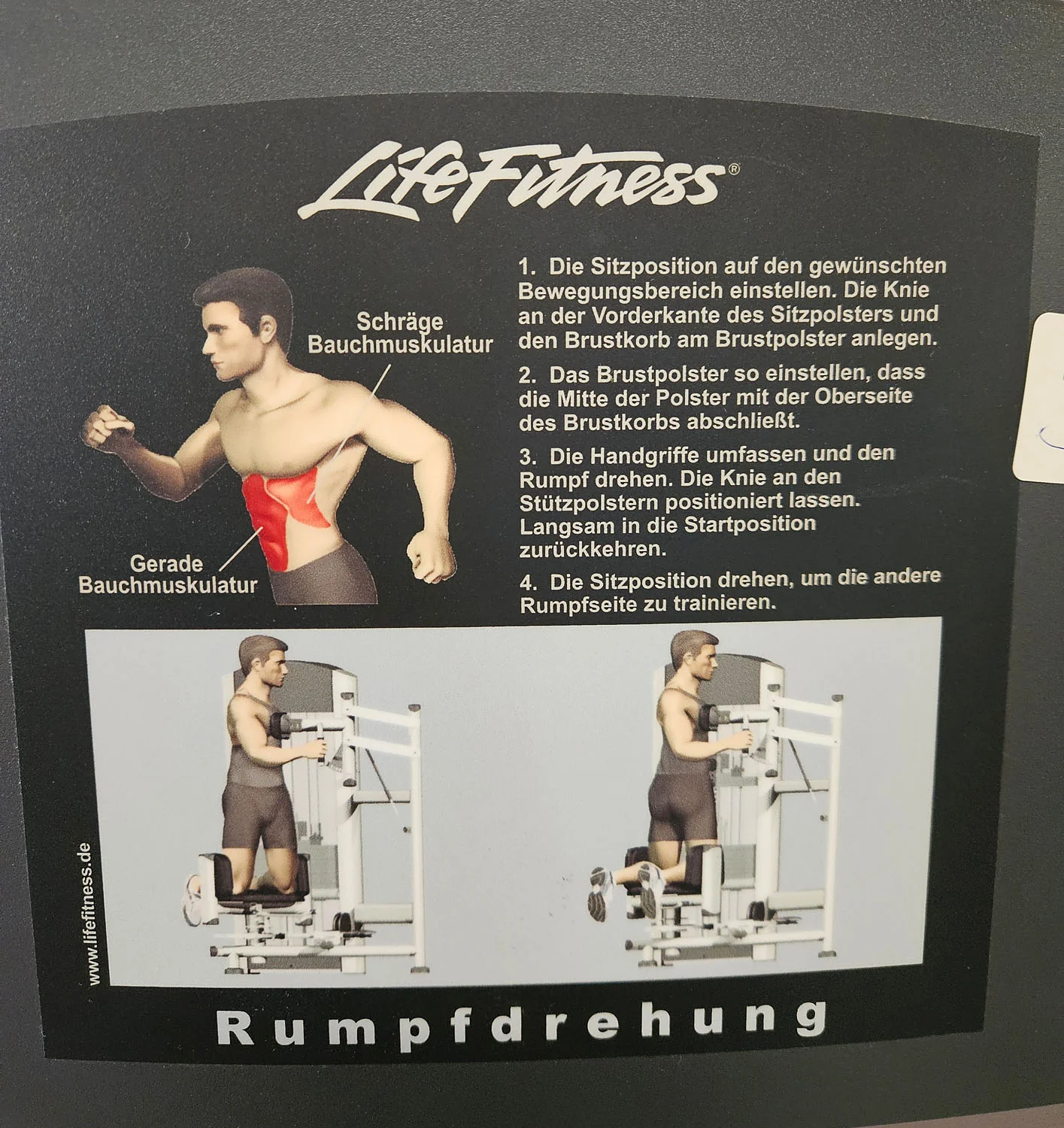Life Fitness Rotationsmaschine, Rotary Torso Twister, Rumpfdrehung Rotator, Signature Series, Rahmenfarbe Silber, gebraucht - überholter Zustand - Image 6