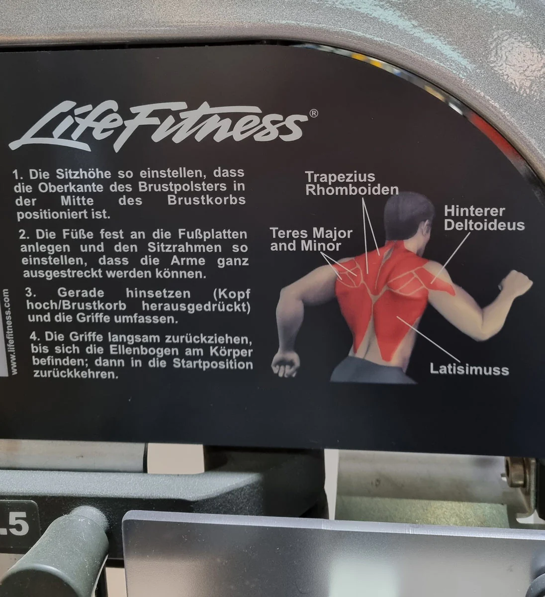 Life Fitness Rudern mit Bruststütze, Row, Pro2 Serie, Rahmenfarbe Silber, Polsterfarbe Rot, gebraucht - überholter Zustand - Image 13
