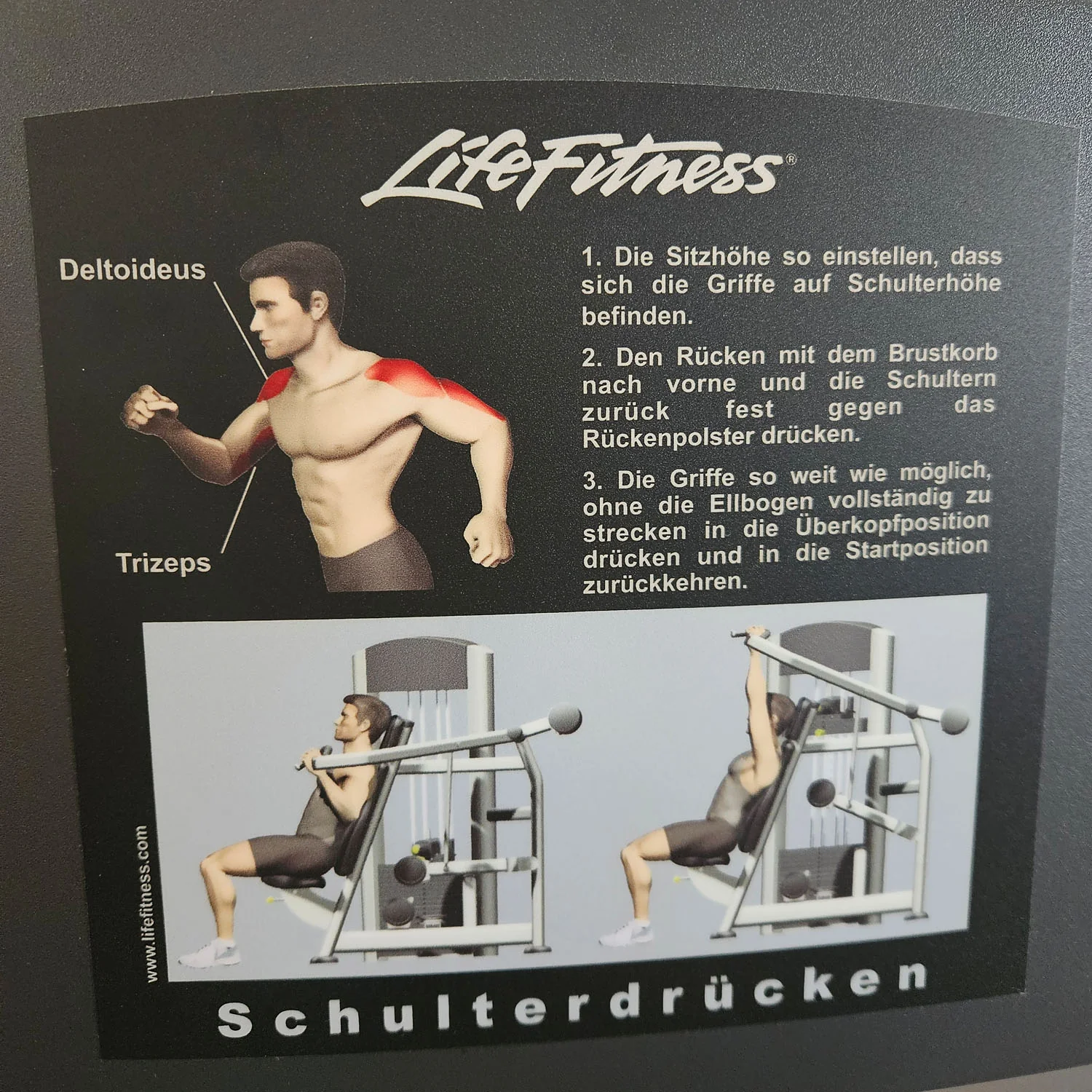 Life Fitness Schulterpresse, Shoulder Press, Overhead Press, Signature Series, Rahmenfarbe Silber, gebraucht - überholter Zustand - Image 8