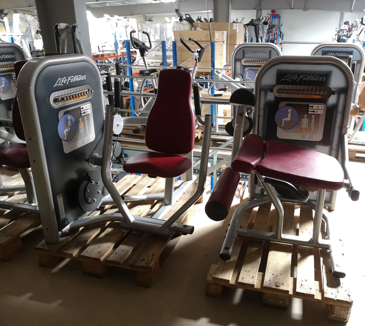 Life Fitness Zirkel mit 8 Fitnessgeräten, Circuit Series Set, Polster Rot, gebraucht - überholter Zustand - Image 4