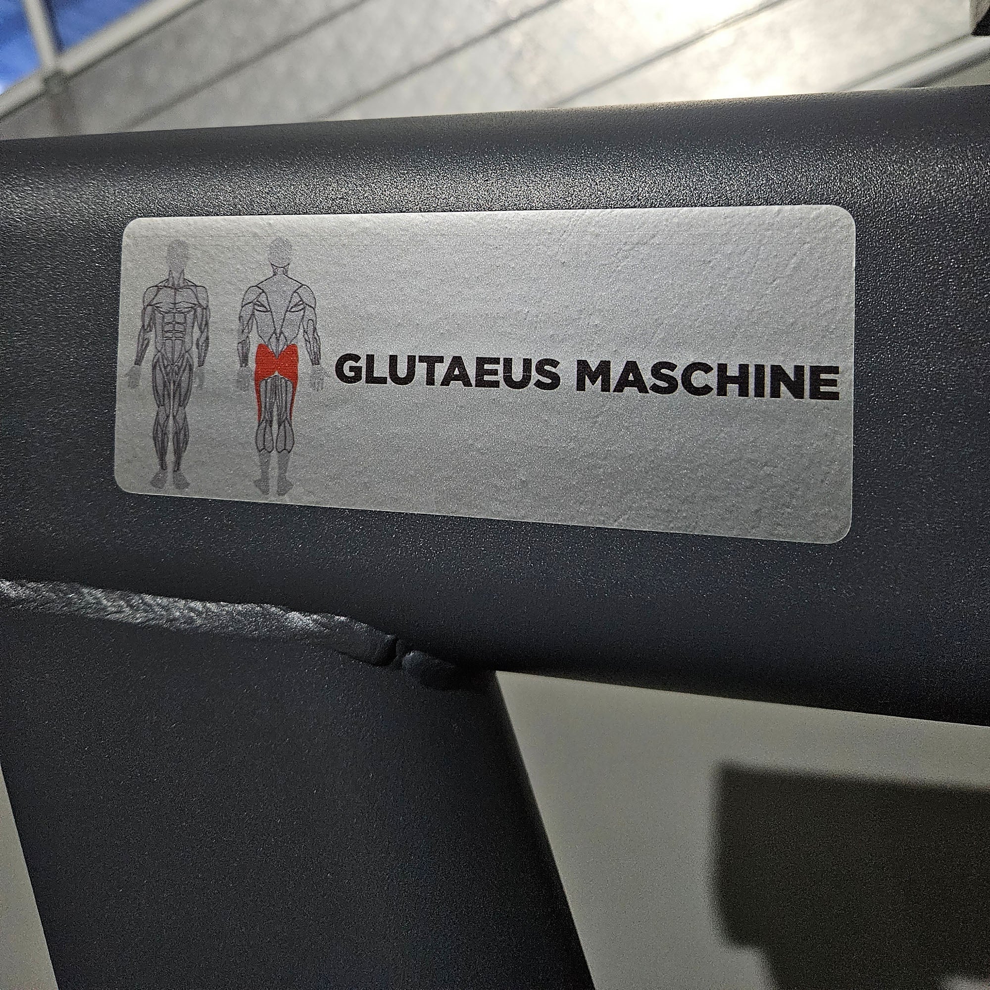 Master Sport Gluteusmaschine, Plate loaded Kraftgerät Glutes Kick Radial, Pomaschine stehend, Farbe Anthrazit, gebraucht - geprüfter Zustand - Image 6