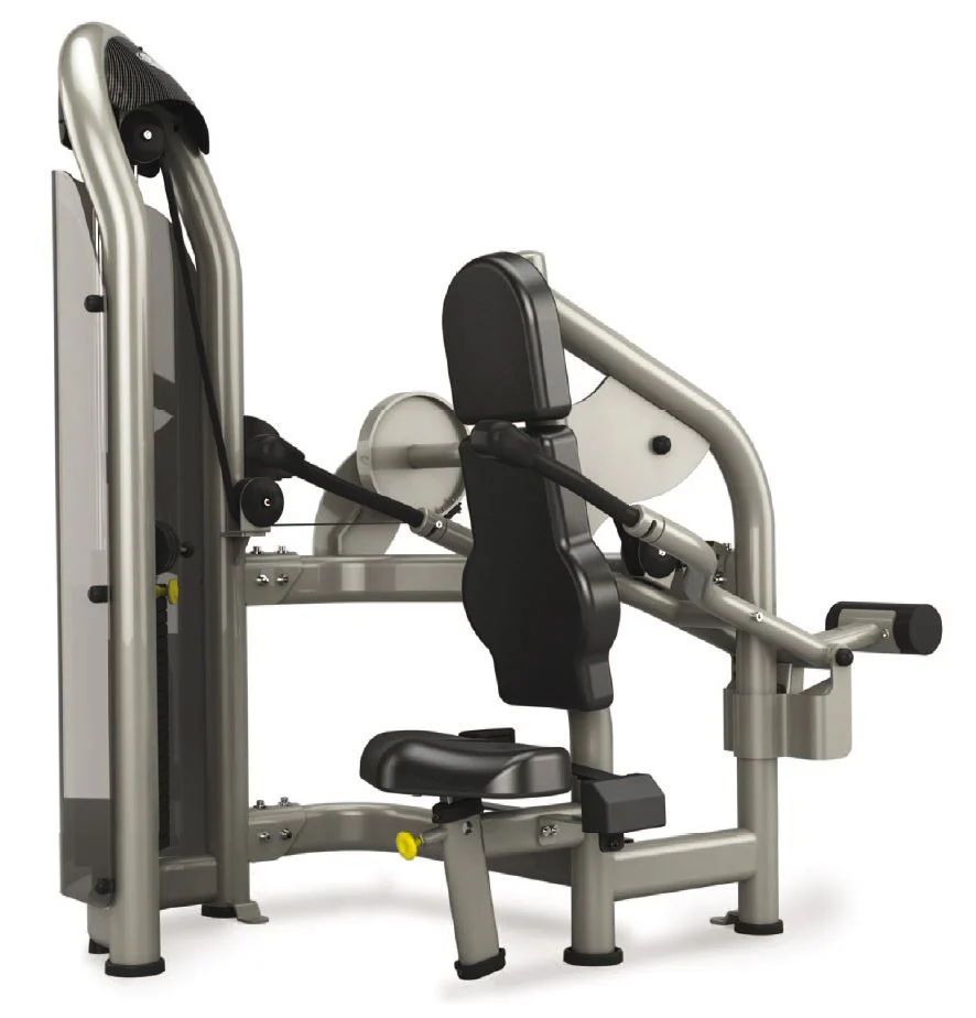 Matrix Aura G3-S42 Trizepsmaschine, Dips, Armstrecker, Farbe Silber, gebraucht - überholter Zustand - Image 3