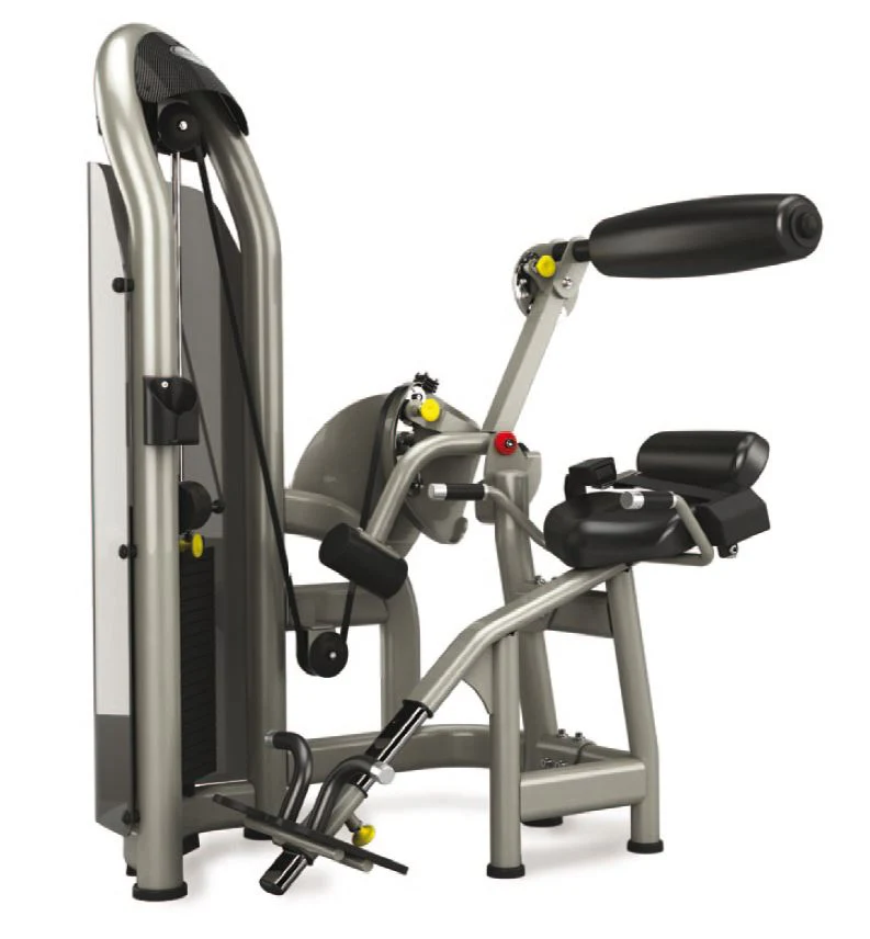 Matrix Aura G3-S52 Rückenstrecker, Hyperextensionmaschine, Farbe Silber und Schwarz verfügbar, gebraucht - überholter Zustand - Image 4
