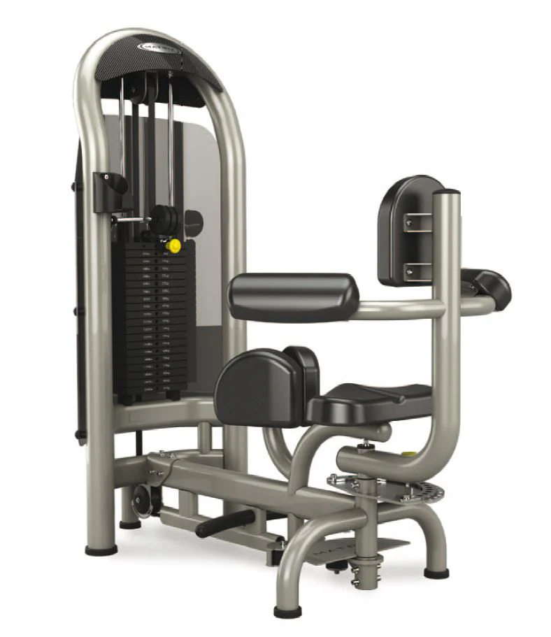 Matrix Aura G3-S55 Rotationsmaschine, Rotary Torso, Twister, Farbe Silber und Schwarz verfügbar, gebraucht - überholter Zustand - Image 4