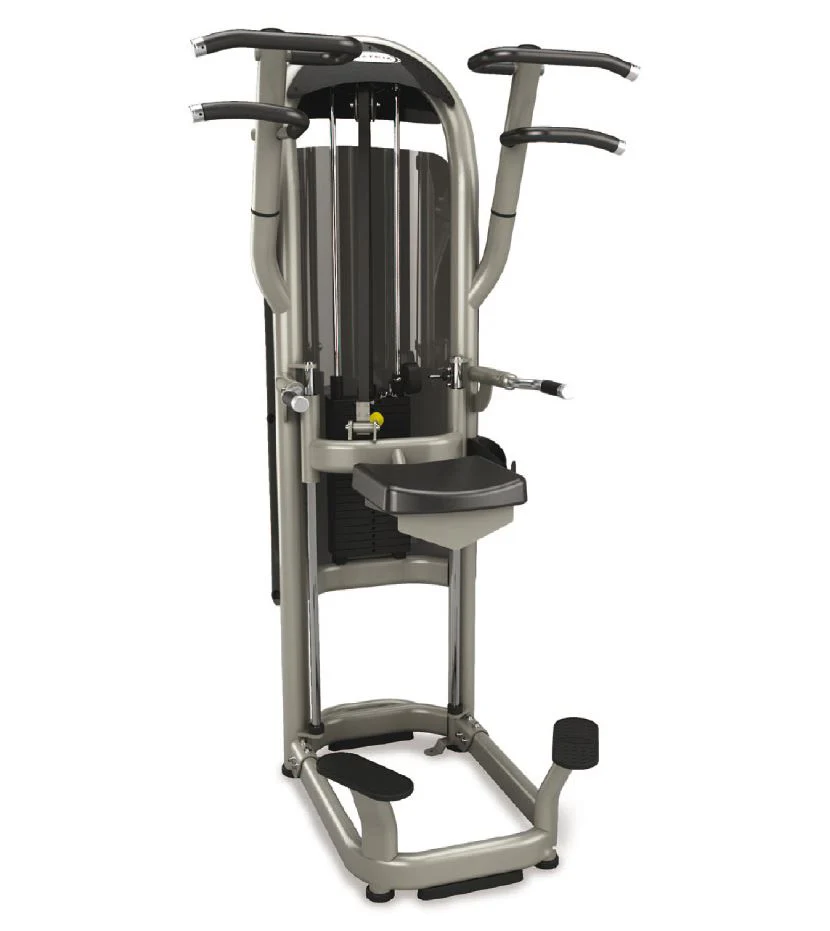 Matrix Aura G3-S60 Dip/Chin, Dip-Klimmzugmaschine mit Gewichtsunterstützung, Farbe Silber, gebraucht - überholter Zustand - Image 2