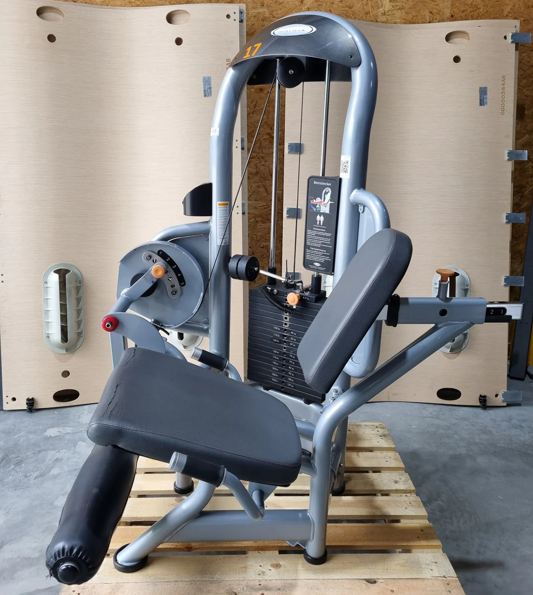 Matrix Beinbeuger sitzend und Beinstrecker im Set - 2 Geräte, Aura G3 Serie, Leg Curl und Leg Extension, Rahmenfarbe Silber, gebraucht - überholter Zustand - Image 5