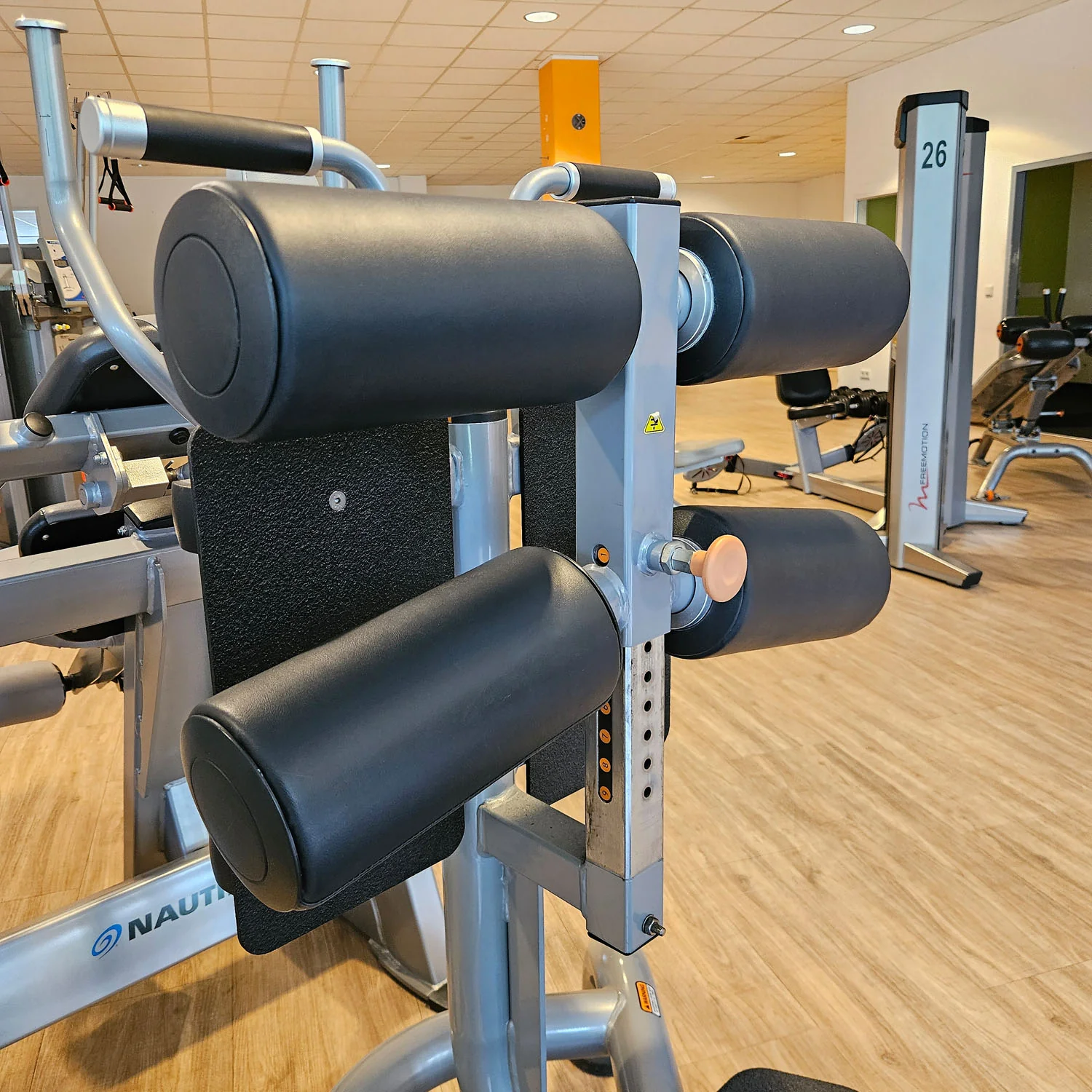 Matrix Magnum Glute Ham Bench MG-A96, Bank für unteren Rücken, Bauch, Beine und Po Training, Rahmenfarbe Silber, gebraucht - überholter Zustand - Image 6