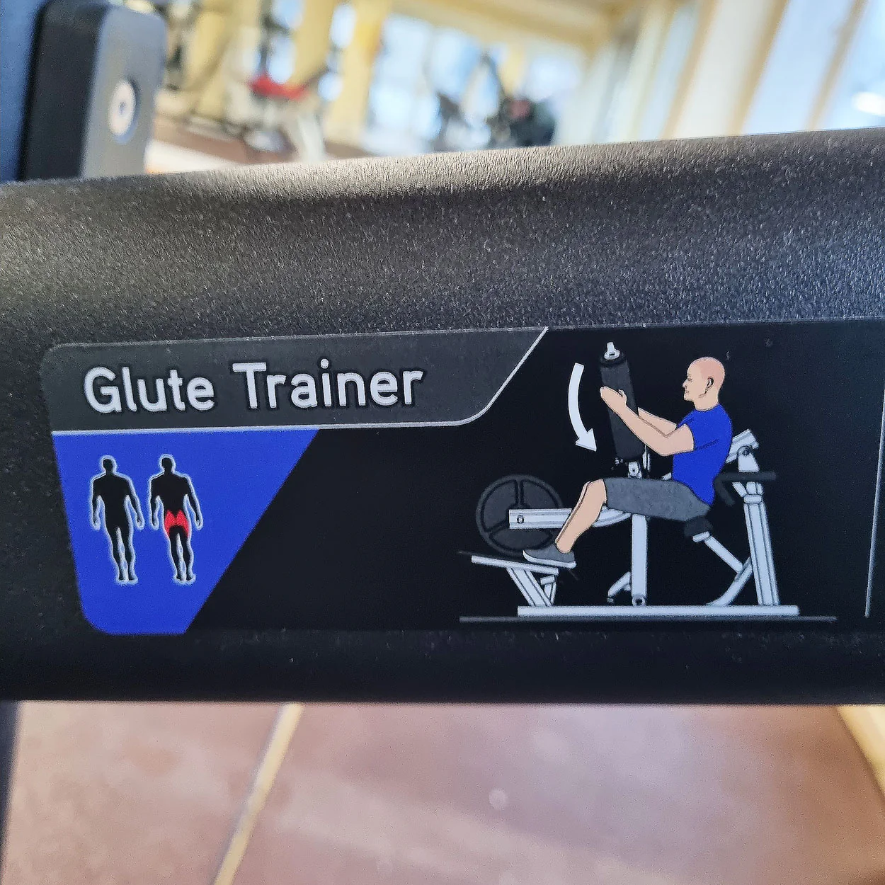 Matrix Magnum Glute Trainer MG-PL78, Hip Thrust Maschine, Gluteusmaschine, Pomaschine für Gesäßtraining, Rahmenfarbe Schwarz, gebraucht - überholter Zustand - Image 5