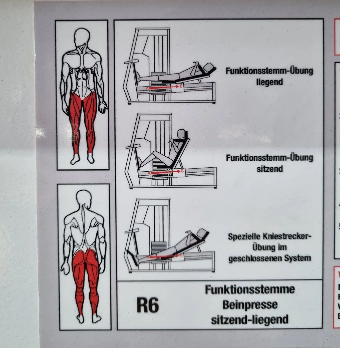 MKB Reha Funktionsstemme, verstellbare Beinpresse, Kippkreisel, MPG, Rahmenfarbe Weiß, gebraucht - überholter Zustand - Image 19