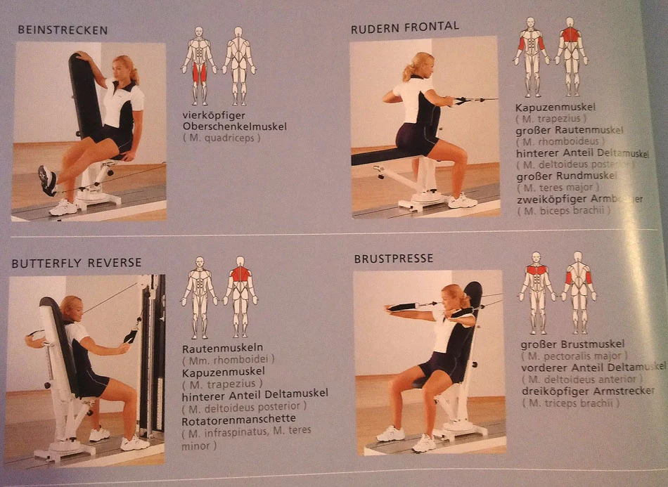 Multitrainer mit verstellbarerTrainingsbank - Image 3