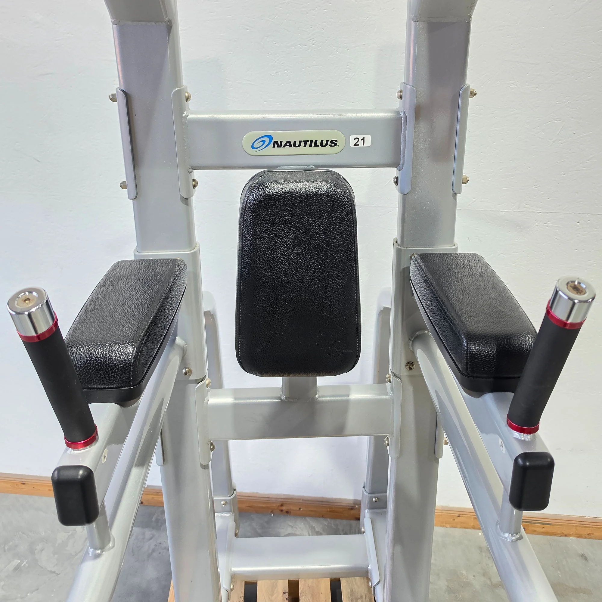 Nautilus 3 in 1 Gerät, Dips, Beinheben und Klimmzug Ständer = Pull Up - Dip - Leg Raise, Inspiration Strength Series NP-B7511, Rahmenfarbe Silber, gebraucht mit Gebrauchsspuren - Image 5