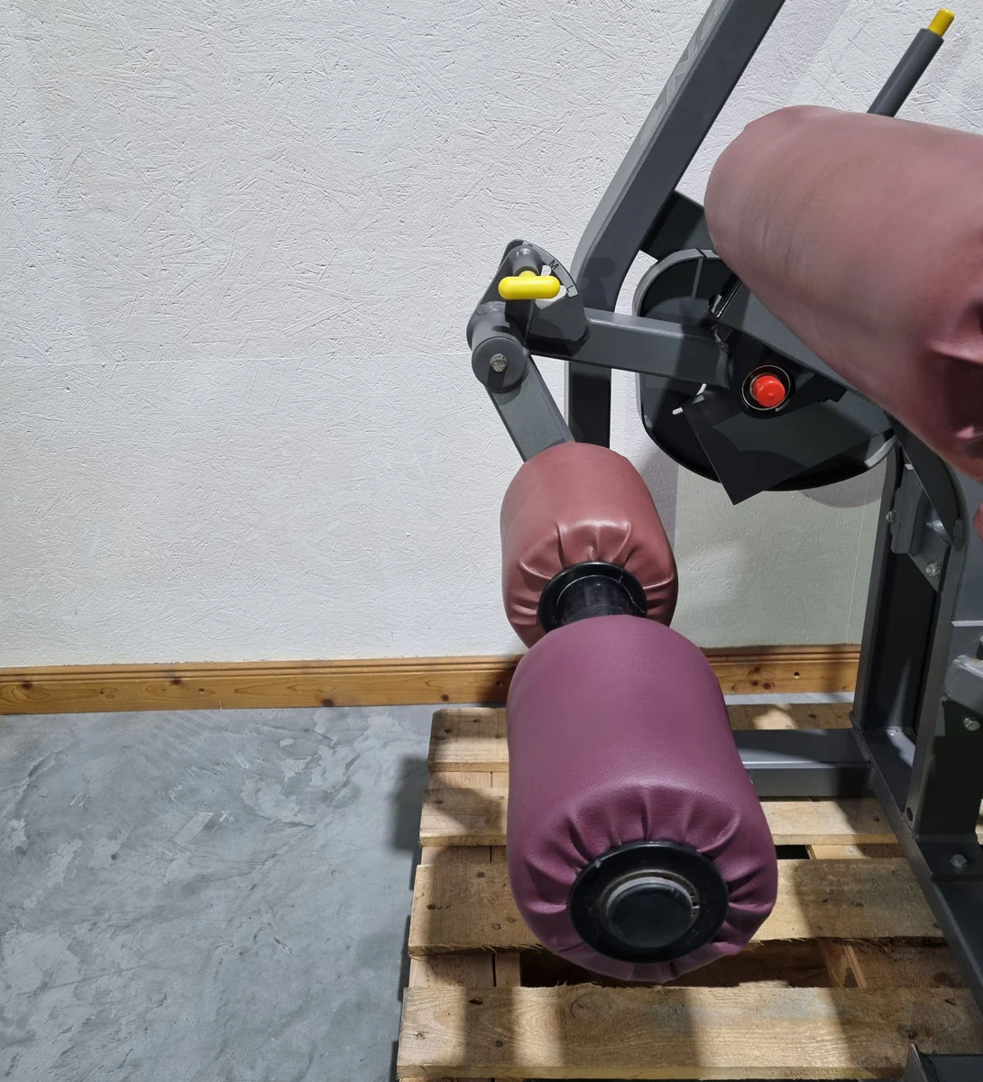 Nautilus Nitro Beinstrecker und Beinbeuger sitzend, 2 Geräte im Set, Leg Curl and Leg Extension seated, Rahmenfarbe Anthrazit, gebraucht - überholter Zustand - Image 10