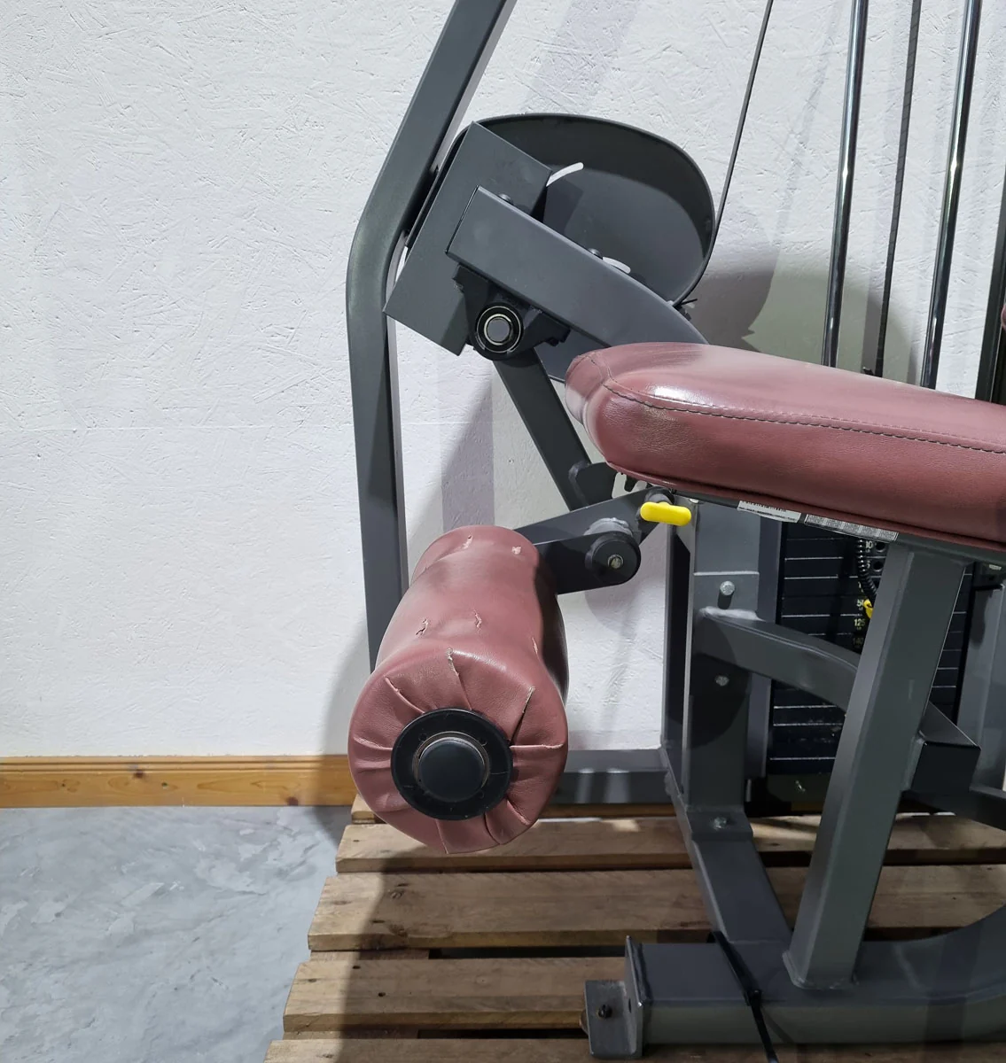 Nautilus Nitro Beinstrecker und Beinbeuger sitzend, 2 Geräte im Set, Leg Curl and Leg Extension seated, Rahmenfarbe Anthrazit, gebraucht - überholter Zustand - Image 22