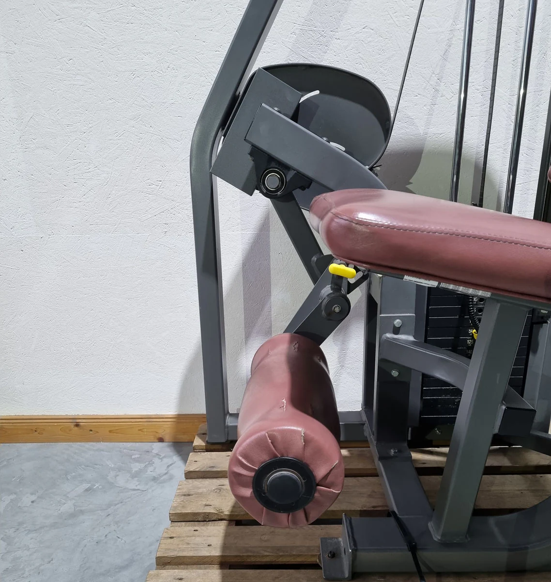 Nautilus Nitro Beinstrecker und Beinbeuger sitzend, 2 Geräte im Set, Leg Curl and Leg Extension seated, Rahmenfarbe Anthrazit, gebraucht - überholter Zustand - Image 23