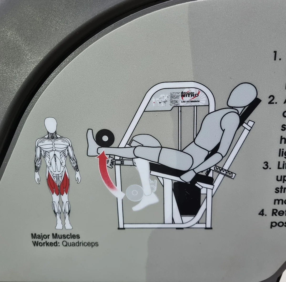 Nautilus Nitro Beinstrecker und Beinbeuger sitzend, 2 Geräte im Set, Leg Curl and Leg Extension seated, Rahmenfarbe Anthrazit, gebraucht - überholter Zustand - Image 26
