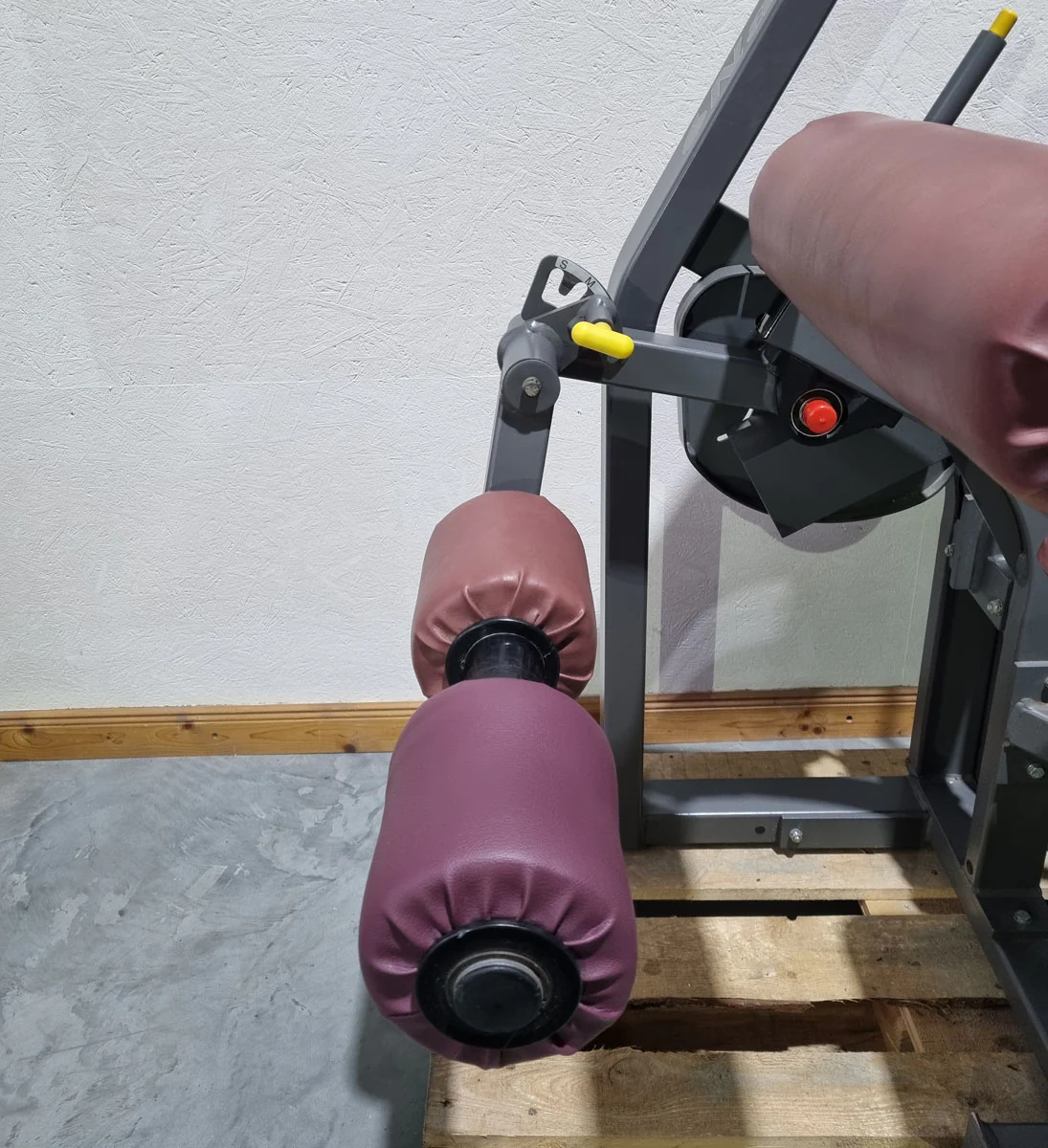Nautilus Nitro Beinstrecker und Beinbeuger sitzend, 2 Geräte im Set, Leg Curl and Leg Extension seated, Rahmenfarbe Anthrazit, gebraucht - überholter Zustand - Image 9