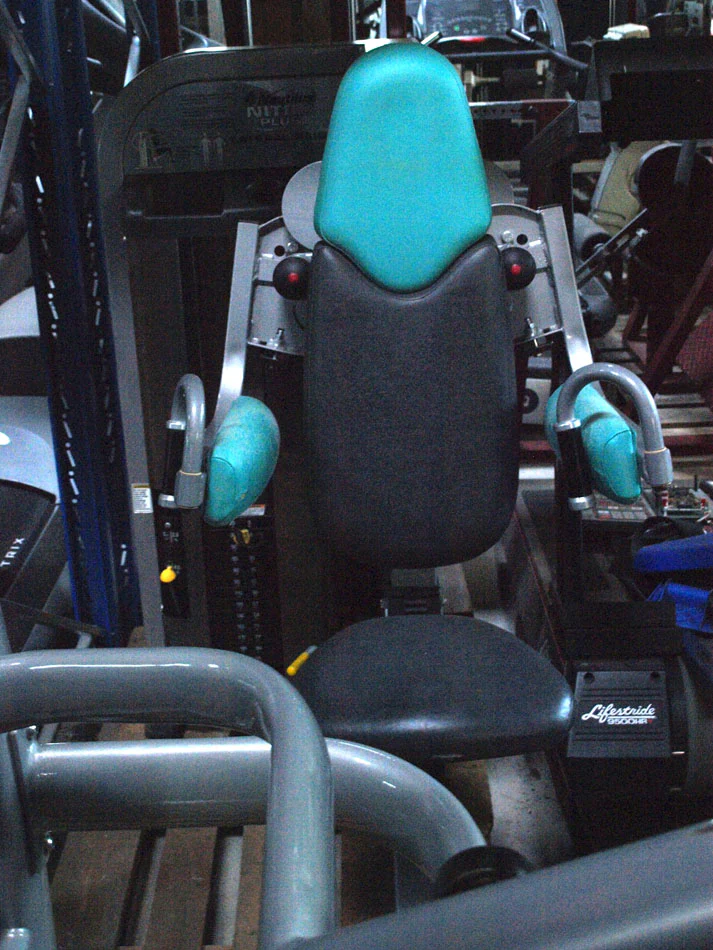 Nautilus Nitro Plus Seithebe, Lateral Raise, Silber, gebraucht - Image 2