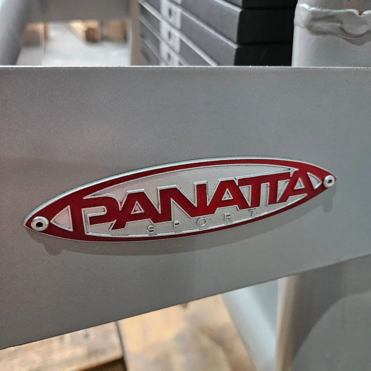Panatta 5 Stationenturm mit Cable Crossover - Jungle Machine + Cable Station with Connection Bar - 5 Stack Multi Funktionsturm, Rahmenfarbe Silber, gebraucht - geprüfter Zustand - Image 18
