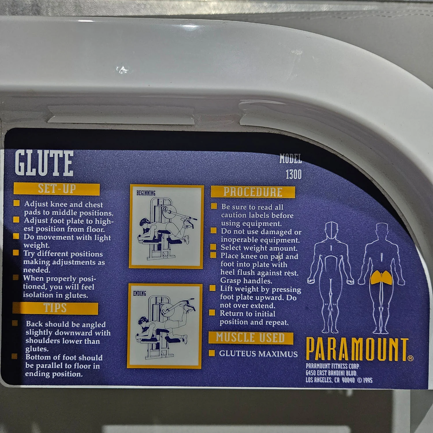 Paramount Glute Model 1300 - Gluteusmaschine Kick, Glute Radial Pomaschine, Made in USA, Farbe Weiß, gebraucht - geprüfter Zustand - Image 13